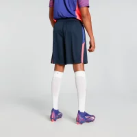 Puma individualLIGA Trainingsshorts Herren