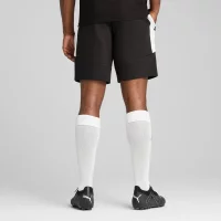 Puma teamEVOSTRIPE Shorts