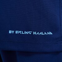 Nike Academy 25 Trikot Kinder Erling Haaland