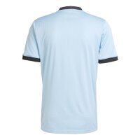 adidas DFB 125 Jahre Anniversary Ausw&auml;rtstrikot