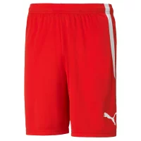Puma teamLIGA Shorts
