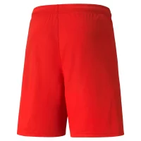 Puma teamLIGA Shorts