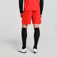 Puma teamLIGA Shorts