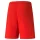 Puma teamLIGA Shorts