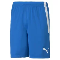 Puma teamLIGA Shorts