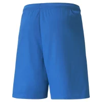Puma teamLIGA Shorts