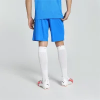 Puma teamLIGA Shorts