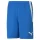 Puma teamLIGA Shorts