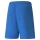 Puma teamLIGA Shorts