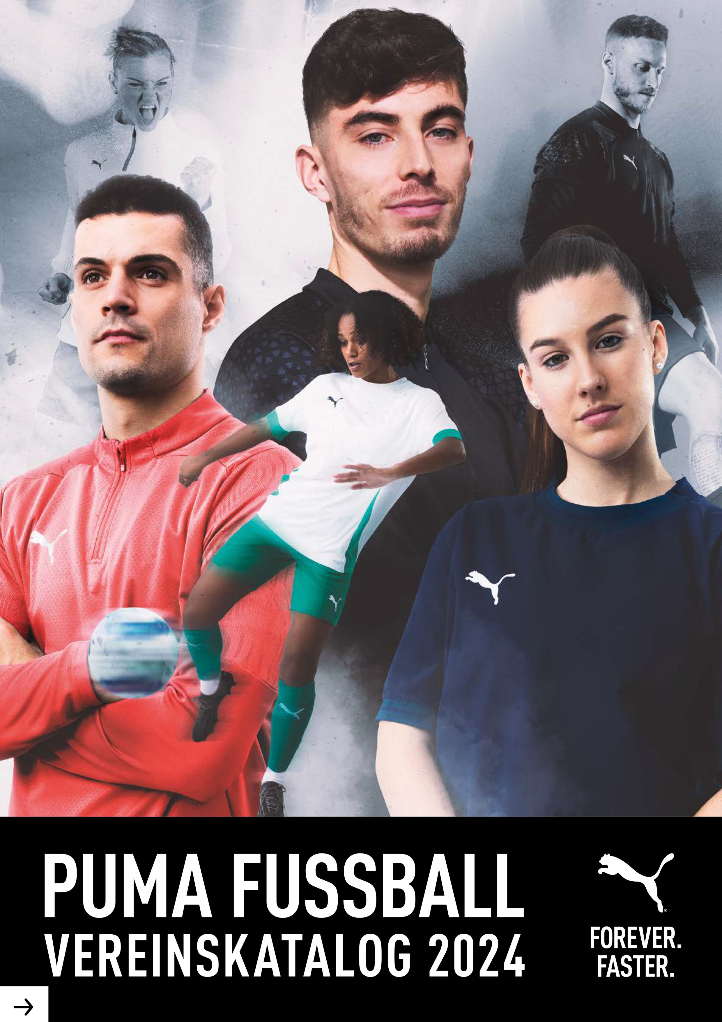 Puma Teamsport - Fussball - Katalog 2024