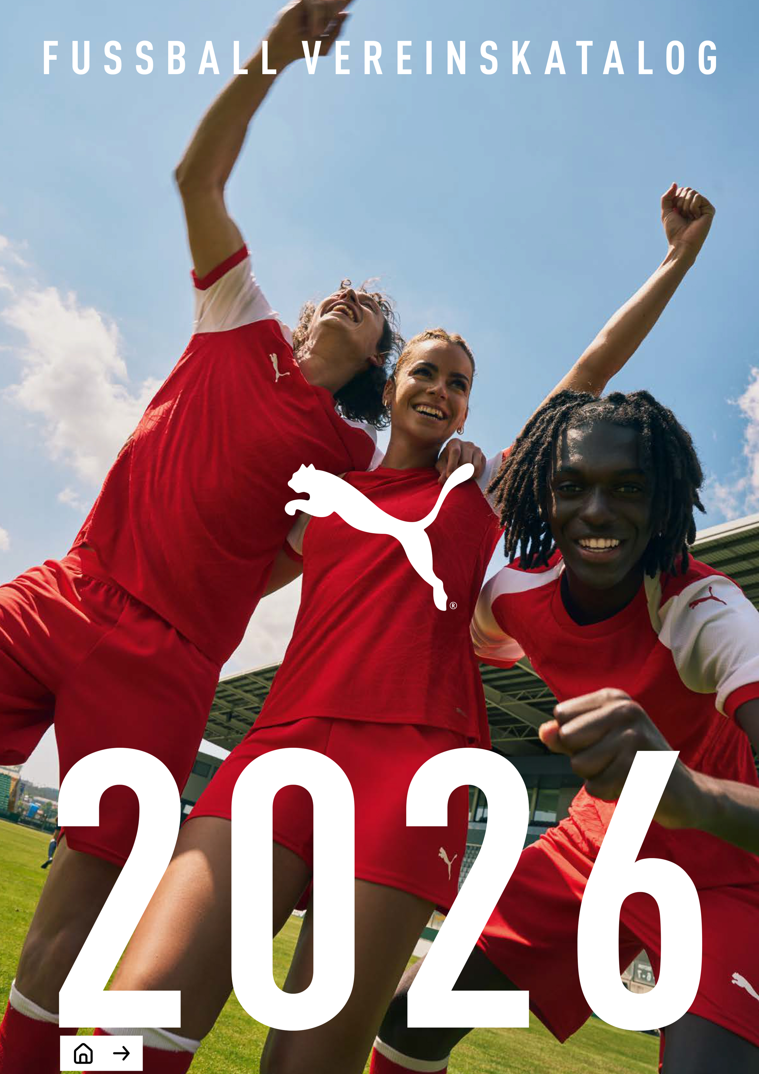 Puma Teamsport - Fussball - Katalog 2026